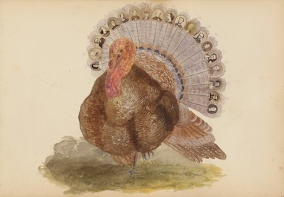 Das Madame B Album von Marie Blanche Hennelle Fournier