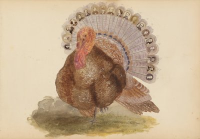 Das Madame B Album, 1870er Jahre von Marie Blanche Hennelle Fournier