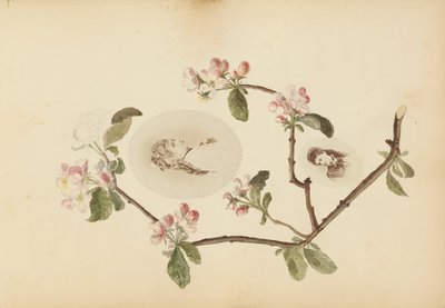Das Madame B Album von Marie Blanche Hennelle Fournier