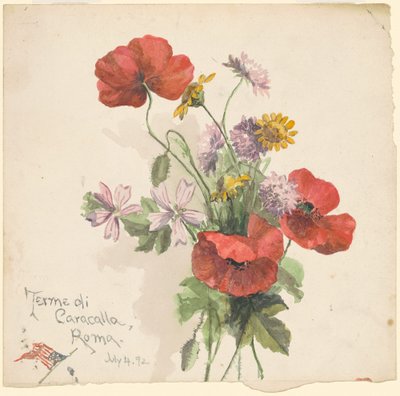 Thermen von Caracalla, Rom von Marietta Minnigerode Andrews