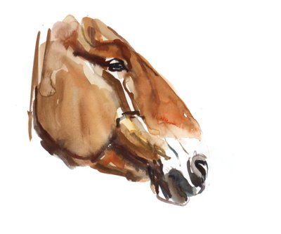 Antiker Kopf (Przewalski), 2012 von Mark Adlington