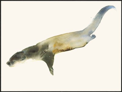 Europäischer Otter von Mark Adlington