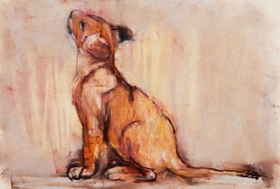 Goldenes Junges von Mark Adlington