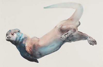 Jagd in der Tiefe von Mark Adlington