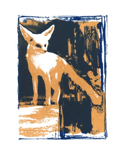 Kleiner Wüstenfuchs, 2015 von Mark Adlington