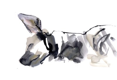 Schlafende Hyäne, 2010 von Mark Adlington