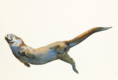 Samt, 2014 (Aquarell auf Papier) von Mark Adlington