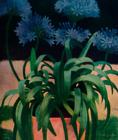 Agapanthus, 1914, ca. 1932 von Mark Gertler