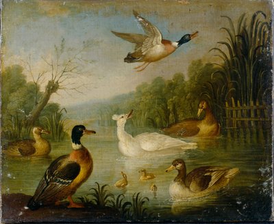 Stockenten auf einem Teich von Marmaduke Cradock