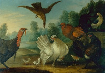 Geflügel in einer Landschaft von Marmaduke Cradock