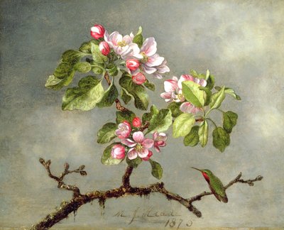 Apfelblüten und ein Kolibri von Martin Johnson Heade