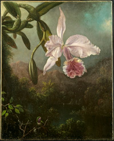 Orchideenblüten, 1873 von Martin Johnson Heade