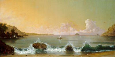 Bucht von Rio de Janeiro von Martin Johnson Heade