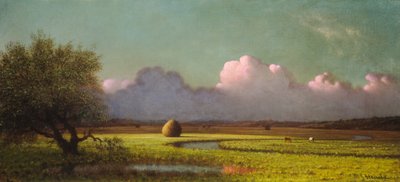 Sonnenlicht und Schatten: Die Newbury-Marschen von Martin Johnson Heade