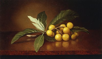 Tropische Pflaumen von Martin Johnson Heade