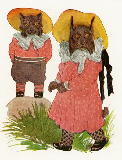 Rotluchs und Kanadischer Luchs, 1913 von Martin Ross
