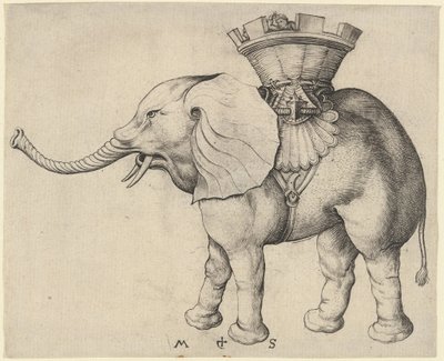 Elefant von Martin Schongauer