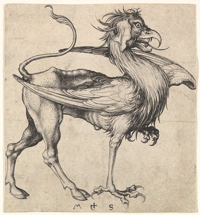 Greif, ca. 1435-1491 von Martin Schongauer