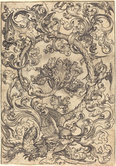 Ornament mit Eule, verspottet von Tagvögeln von Martin Schongauer