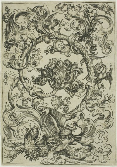 Ornament mit Eule, verspottet von Tagvögeln von Martin Schongauer