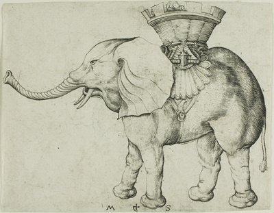 Der Elefant von Martin Schongauer