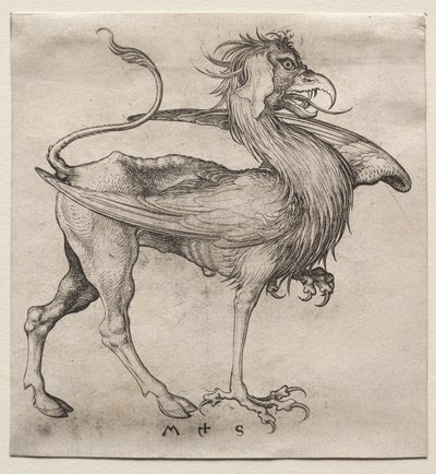 Der Greif von Martin Schongauer