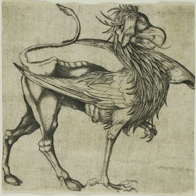 Der Greif von Martin Schongauer