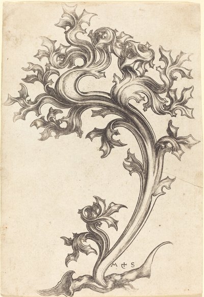 Distelornament von Martin Schongauer