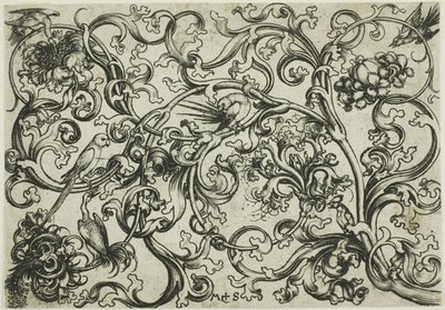 Weinrebenornament mit Papageien und Vögeln von Martin Schongauer