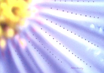 Blaue Blume von Martina Konitzky