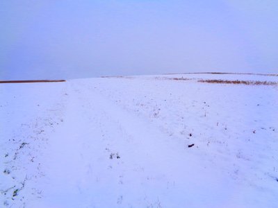 Felder im Winter von Martina Konitzky