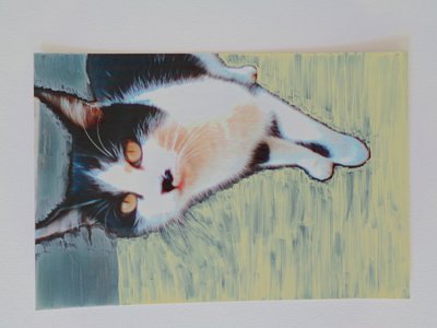 Katze von Martina Konitzky
