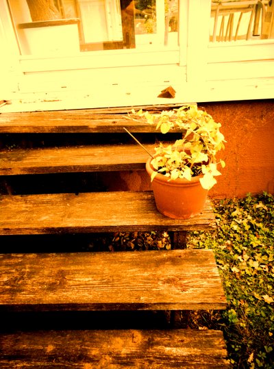 Verandatreppe von Martina Konitzky
