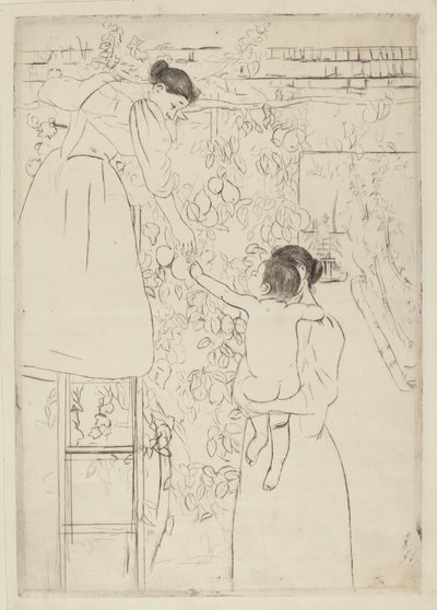 Früchte sammeln, ca. 1893 von Mary Cassatt