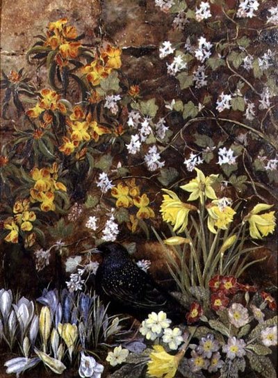 Frühlingsblumen von Mary Ensor