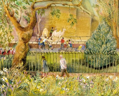 Londoner Zoo, Kamele von Mary Kuper