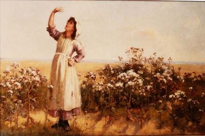 Distelflaum von Mary Louise Breakell