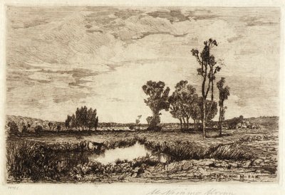Rinder in einem Teich von Mary Nimmo Moran
