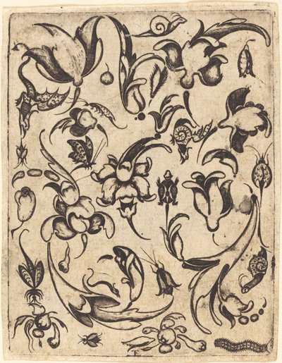 Ornament von Master T.F.