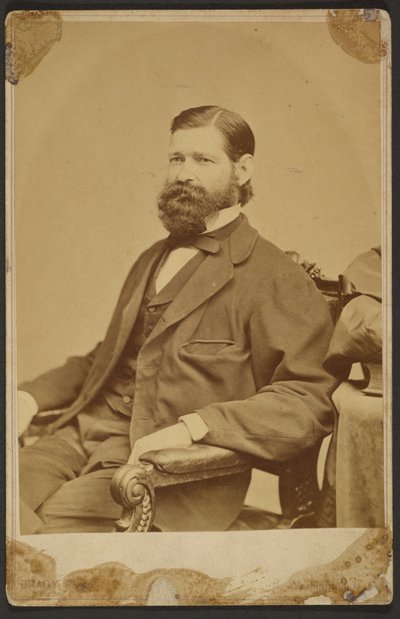 Thomas Davidson Jr. von Mathew B. Brady