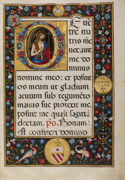 Initiale D: Johannes der Täufer von Matteo da Milano