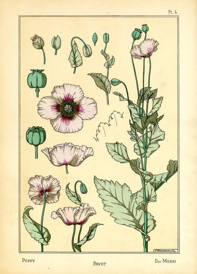 Der Mohn von Maurice Pillard Verneuil