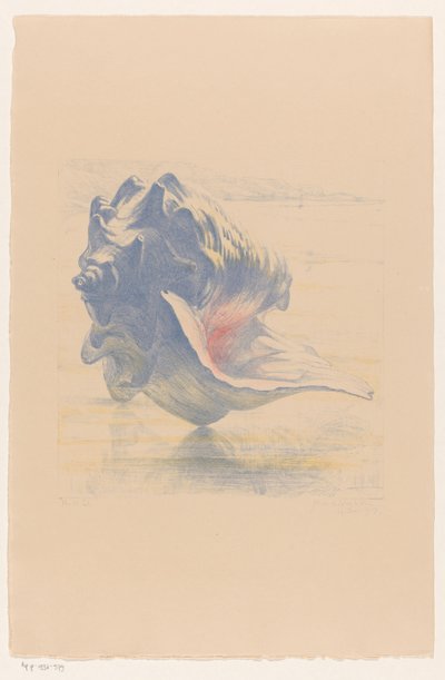 Muschel von Maurits van der Valk (signed by artist)