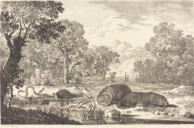 Flusslandschaft mit zwei Bibern von Max Joseph Wagenbauer