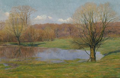 Aulandschaft im Vorfrühling von Max Kahrer