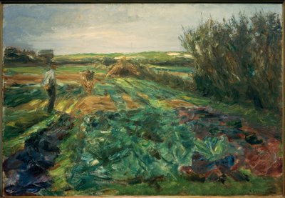 Das Kohlfeld von Max Liebermann