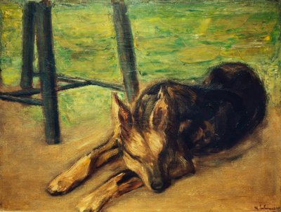 Schlafender Schäferhund von Max Liebermann