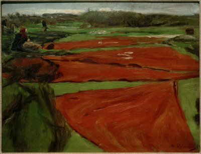 Wiese mit ausgebreiteten Netzen und Segeln von Max Liebermann
