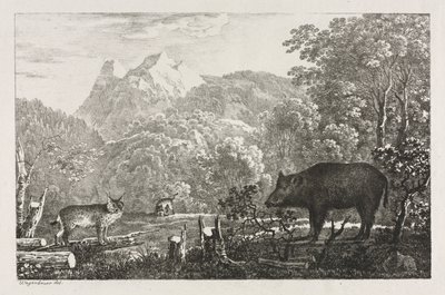 Wildschwein, Wildkatze und Luchs von Maximilian Josef Wagenbauer