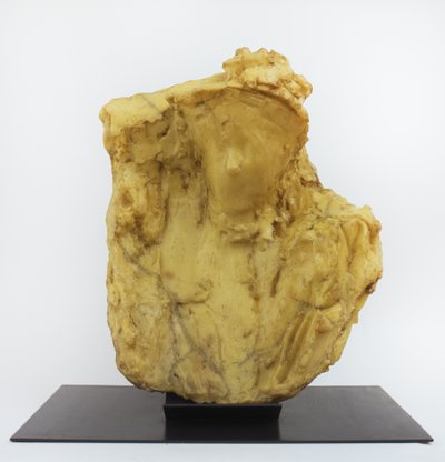 Dame à la voilette von Medardo Rosso